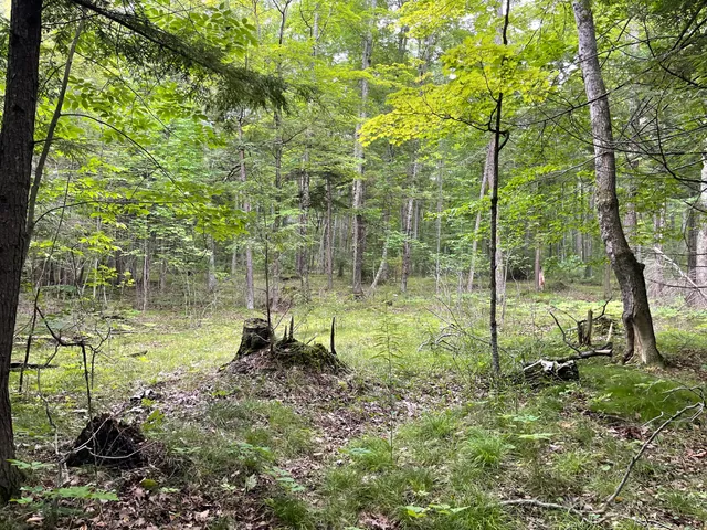 $799,000 | 6860 Bay Shore Drive, Egg Harbor, WI 54209