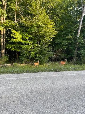 $799,000 | 6860 Bay Shore Drive, Egg Harbor, WI 54209