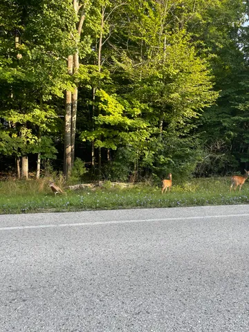 $799,000 | 6860 Bay Shore Drive, Egg Harbor, WI 54209