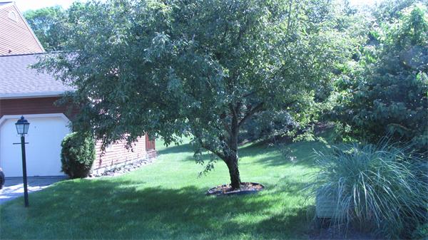 24 Stall Brook Road, Unit 24 Milford, MA 01757 - Photo 28 of 30 Gallery Image 28