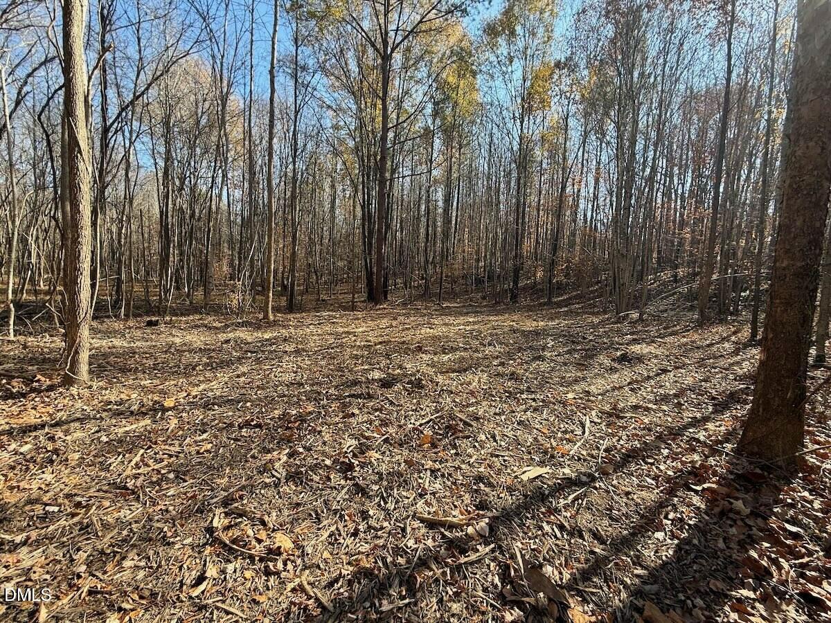0 Stone Drive Roxboro, NC 27573 - Photo 58 of 96 43