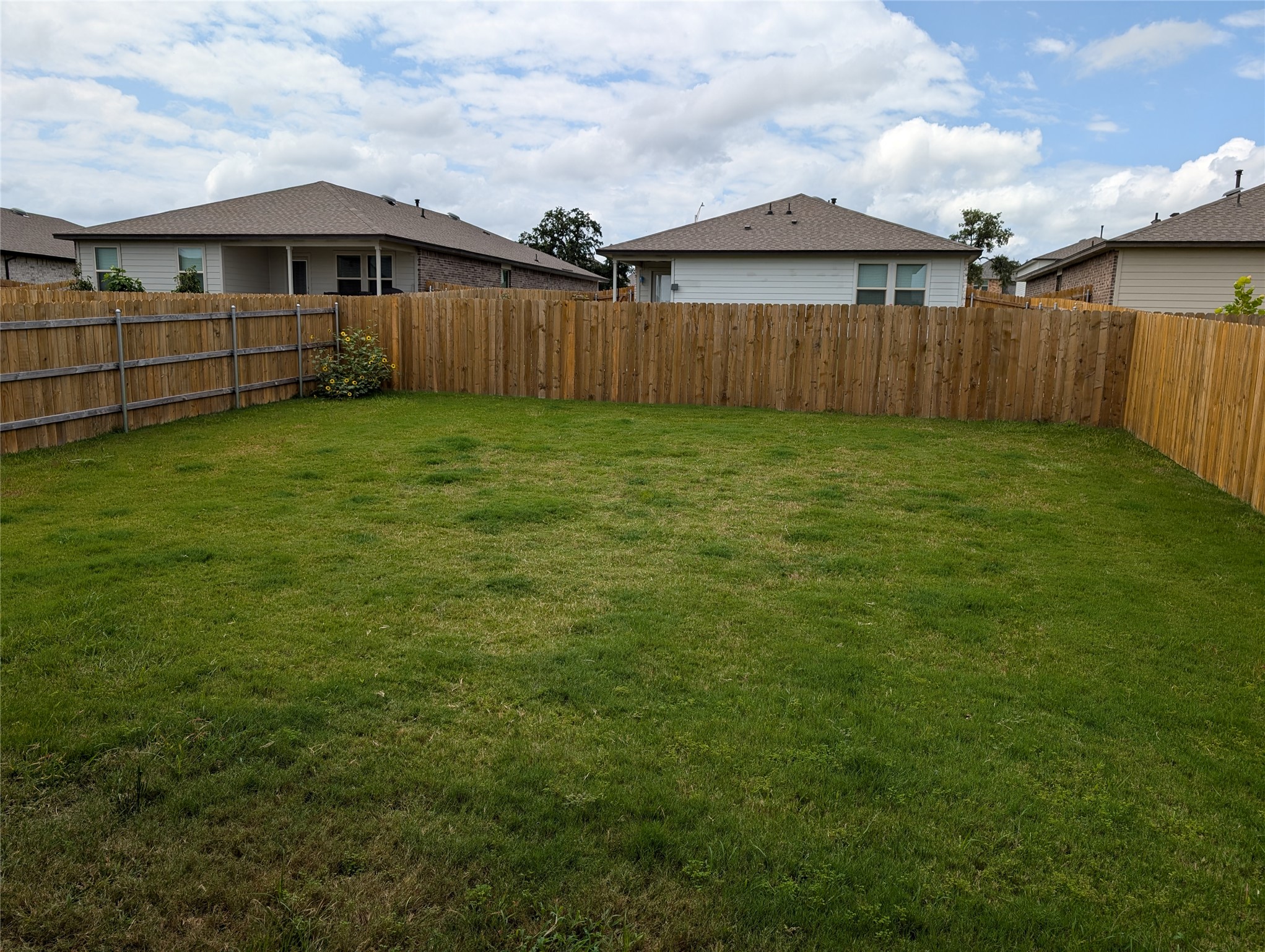 1121 Tipton Street Georgetown, TX 78633 - Photo 15 of 15