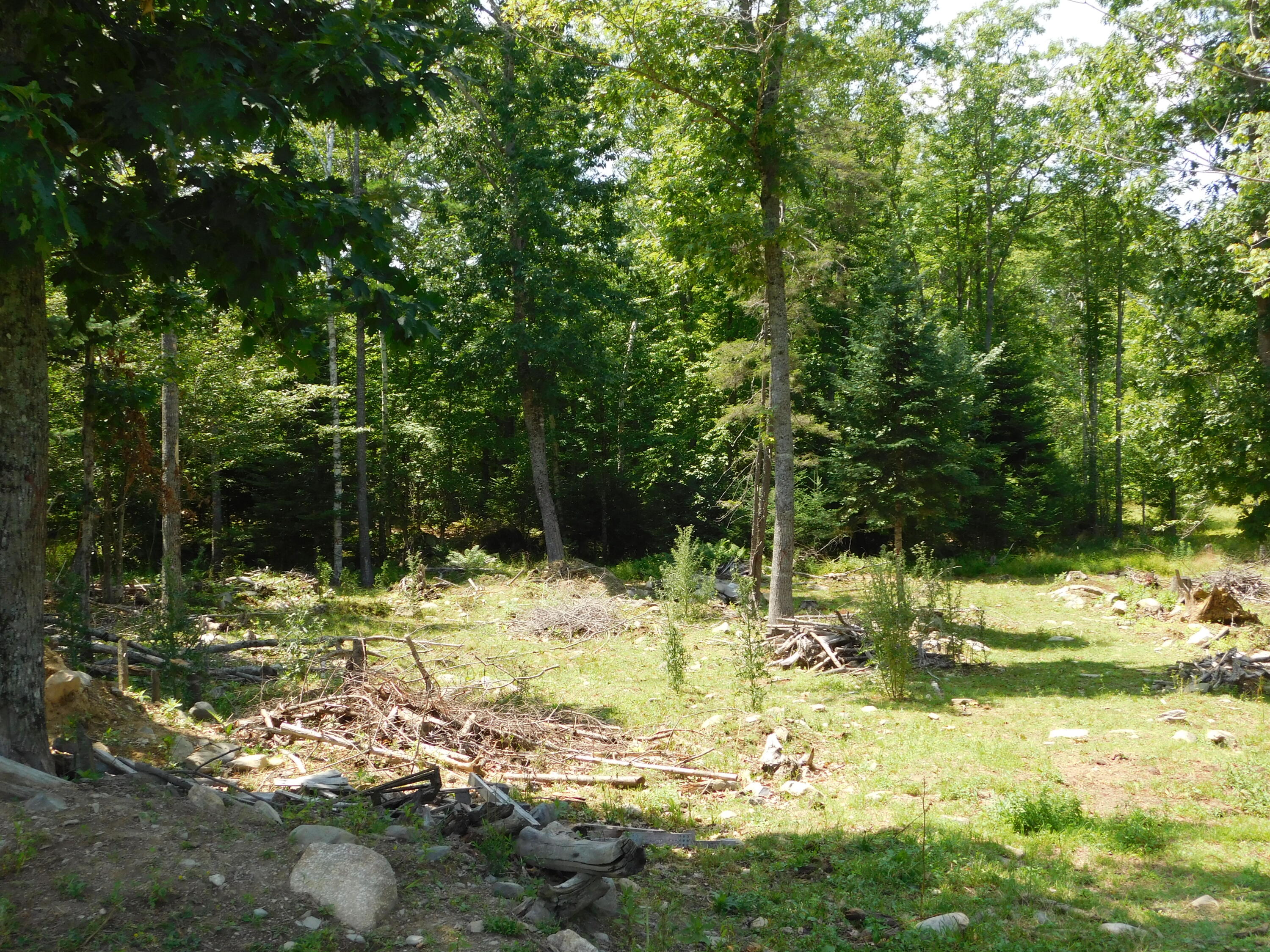 535 Betts Road Bucksport, ME 04416 - Photo 81 of 120 DSCN1356