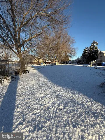 a view of yard with trees