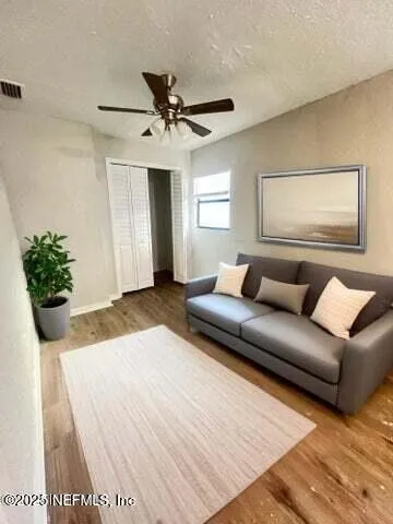 a living room with a couch and a potted plant