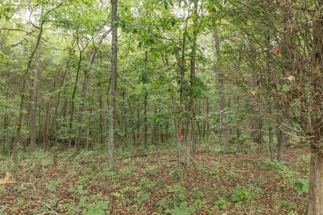 $1,282,500 | 9449 Hillsboro-House Springs Road, Hillsboro, MO 63050