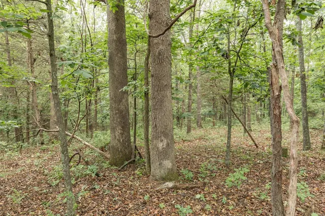 $1,282,500 | 9449 Hillsboro-House Springs Road, Hillsboro, MO 63050