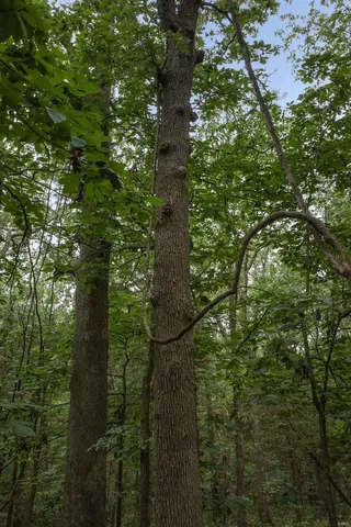 $1,282,500 | 9449 Hillsboro-House Springs Road, Hillsboro, MO 63050