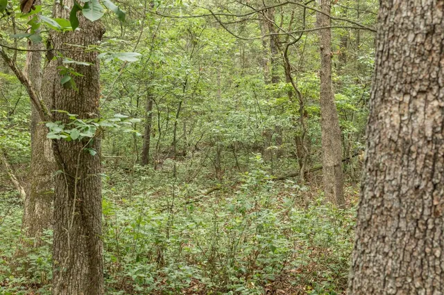 $1,282,500 | 9449 Hillsboro-House Springs Road, Hillsboro, MO 63050