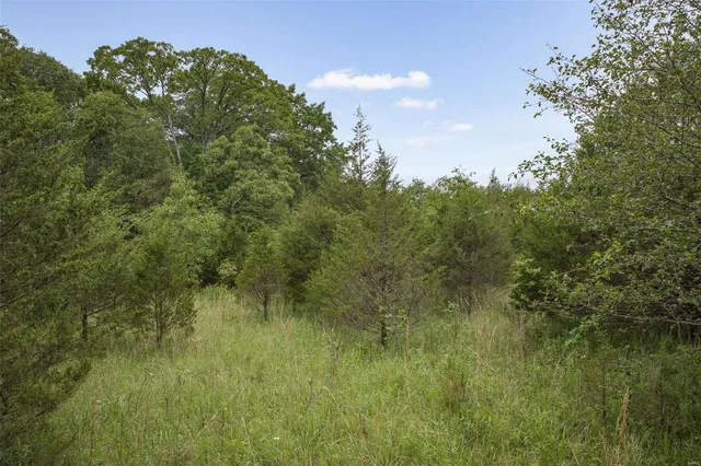 $1,282,500 | 9449 Hillsboro-House Springs Road, Hillsboro, MO 63050