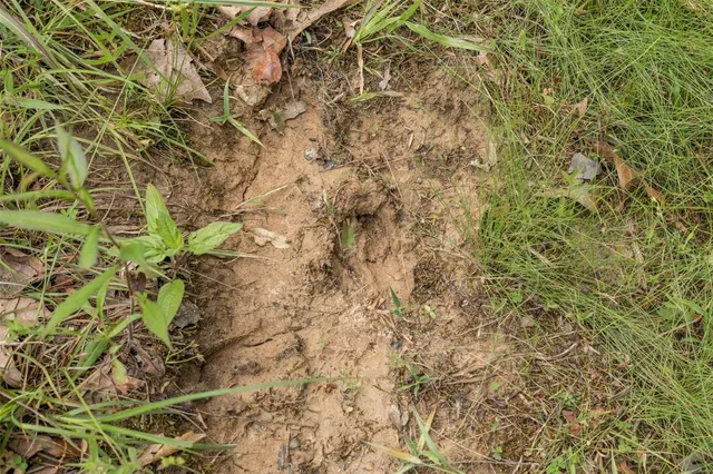 $1,282,500 | 9449 Hillsboro-House Springs Road, Hillsboro, MO 63050