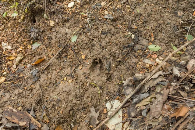 $1,282,500 | 9449 Hillsboro-House Springs Road, Hillsboro, MO 63050