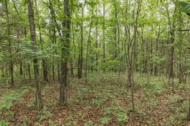 $1,282,500 | 9449 Hillsboro-House Springs Road, Hillsboro, MO 63050