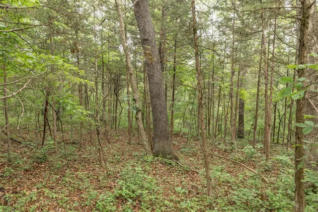 $1,282,500 | 9449 Hillsboro-House Springs Road, Hillsboro, MO 63050