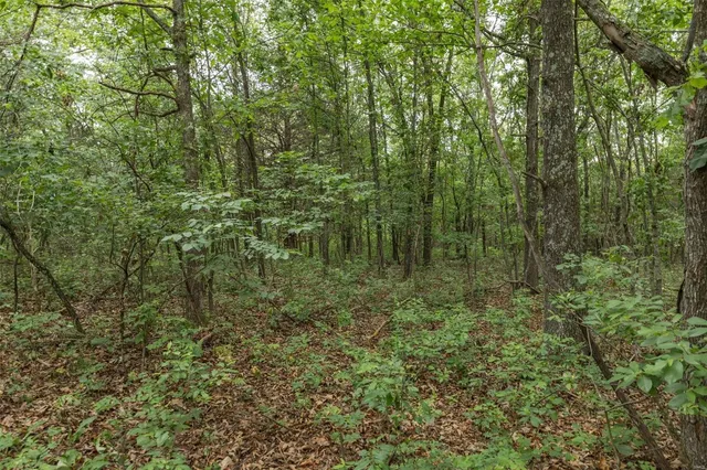 $1,282,500 | 9449 Hillsboro-House Springs Road, Hillsboro, MO 63050