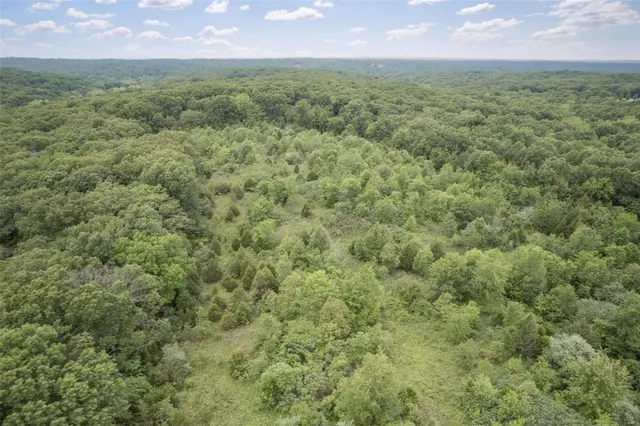 $1,282,500 | 9449 Hillsboro-House Springs Road, Hillsboro, MO 63050