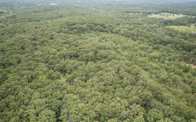 $1,282,500 | 9449 Hillsboro-House Springs Road, Hillsboro, MO 63050