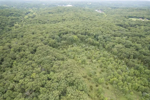 $1,282,500 | 9449 Hillsboro-House Springs Road, Hillsboro, MO 63050