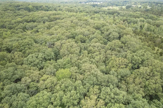 $1,282,500 | 9449 Hillsboro-House Springs Road, Hillsboro, MO 63050