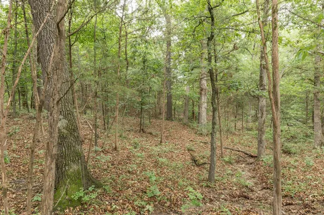 $1,282,500 | 9449 Hillsboro-House Springs Road, Hillsboro, MO 63050