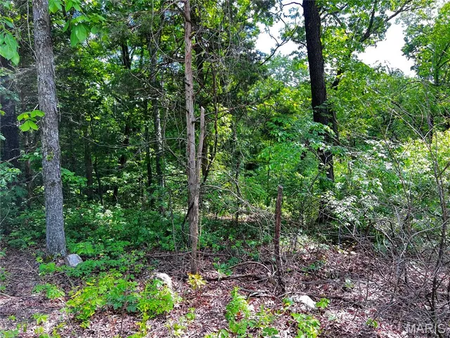 $6,500 | 5918 Valley Drive, French Village, MO 63036