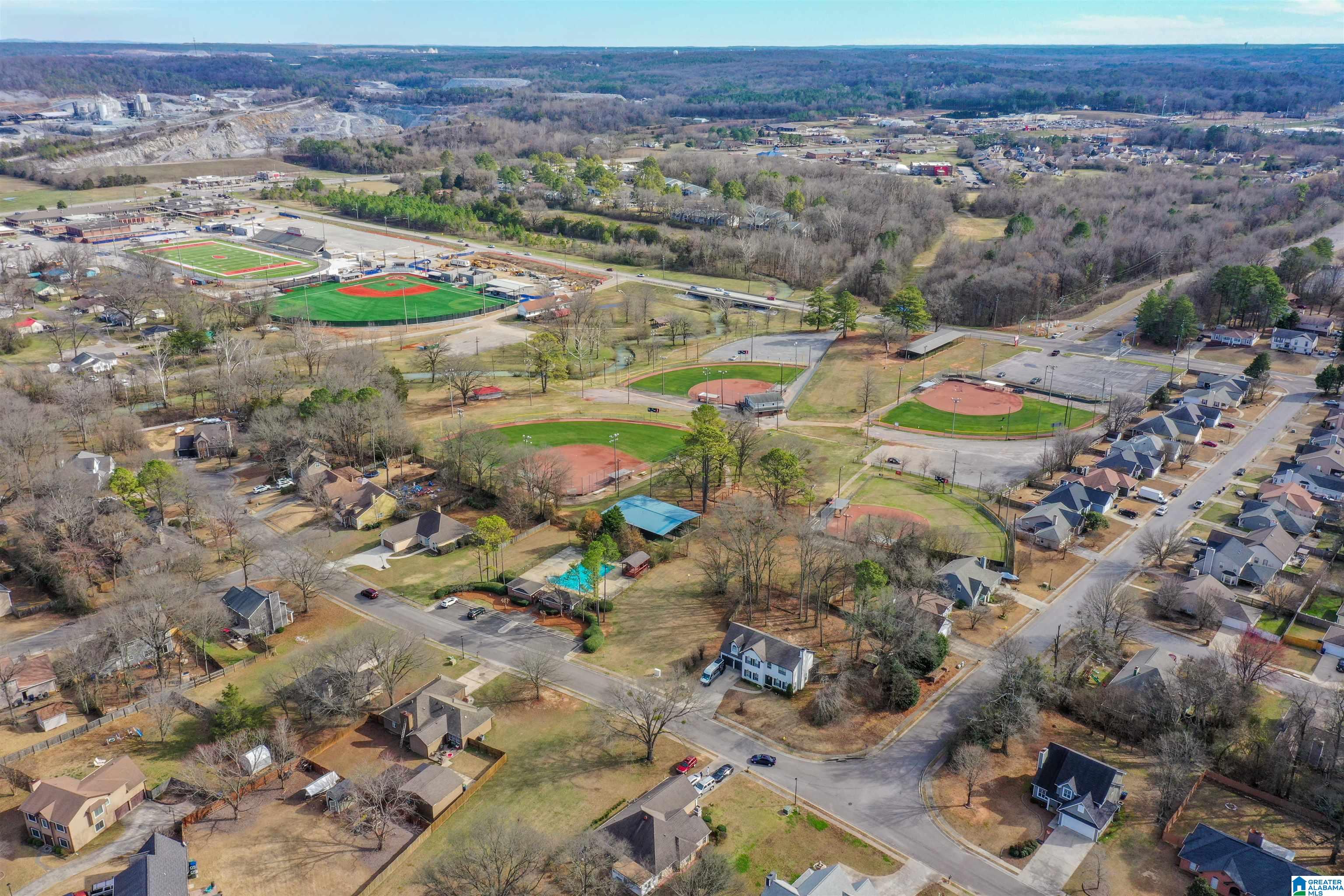 225 Summer Brook Lane Alabaster, AL 35007 - Photo 56 of 60