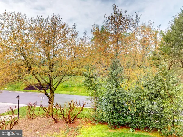 a plant is in front of a building