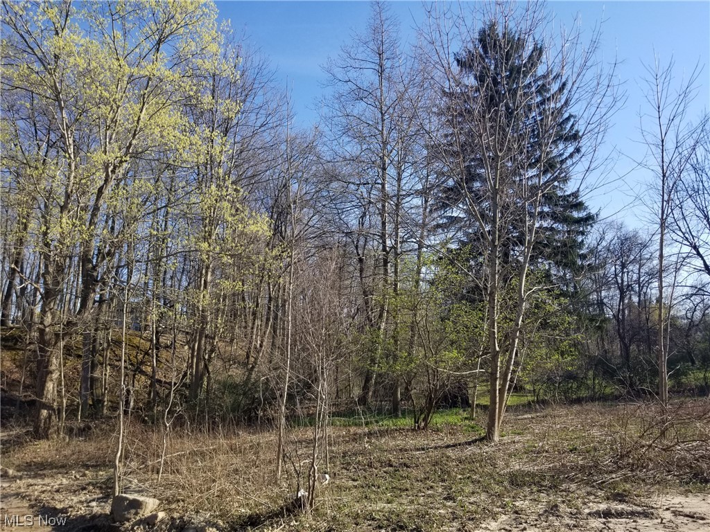 8535 Wilson Mills Road Chesterland, OH 44026 - Photo 34 of 35