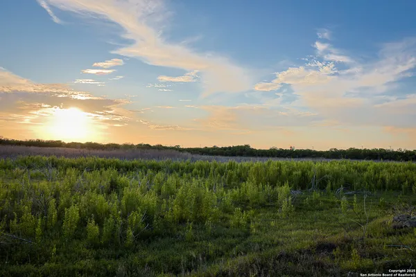 a view of a lush green forest with lots of trees