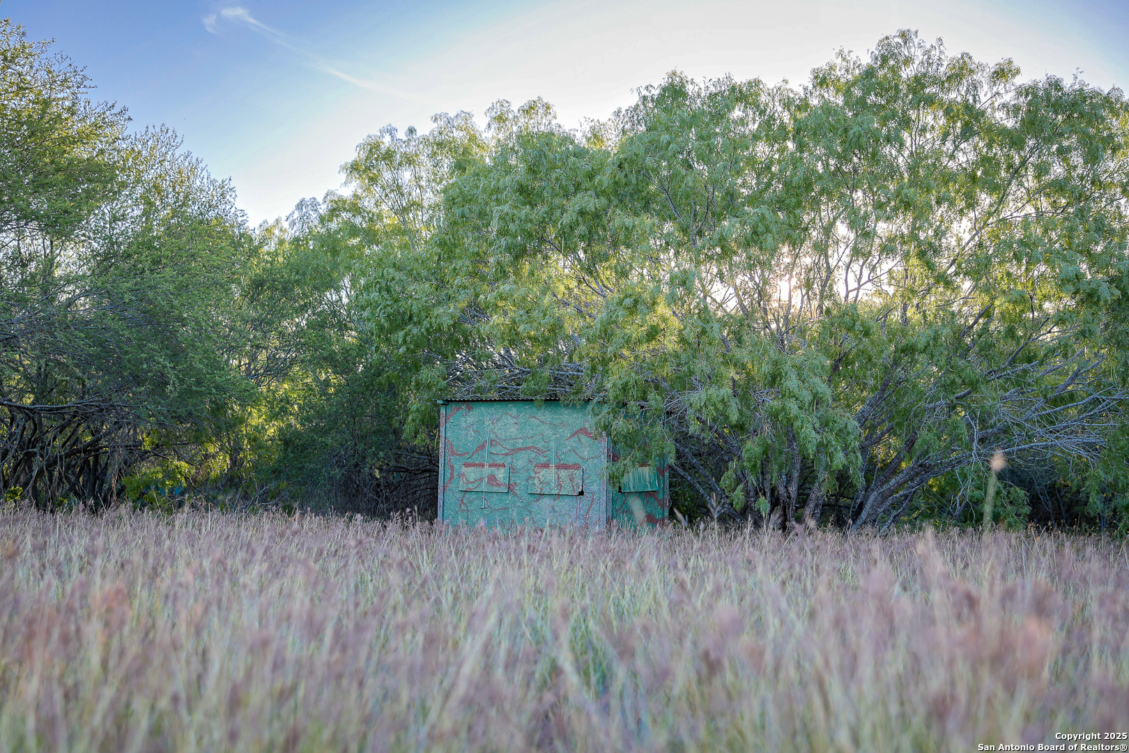 6266 Highway 281 Three Rivers, TX 78071 - Photo 20 of 37 a view of a lush green forest