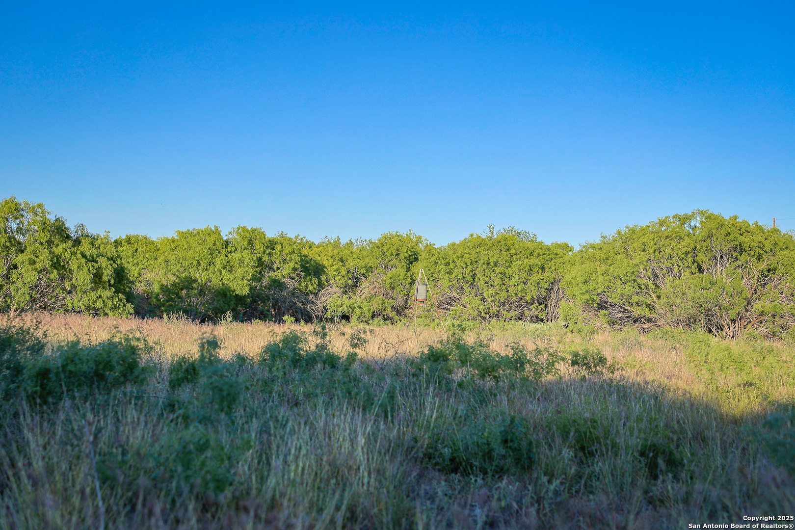 6266 Highway 281 Three Rivers, TX 78071 - Photo 21 of 37 a view of a lush green space with sea