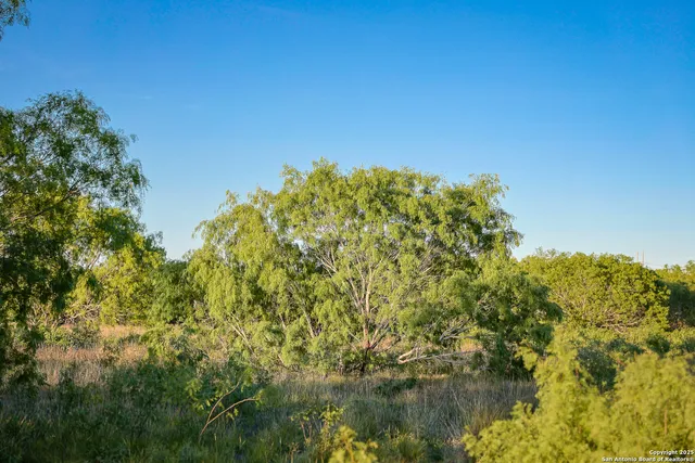 a view of a field of grass and trees