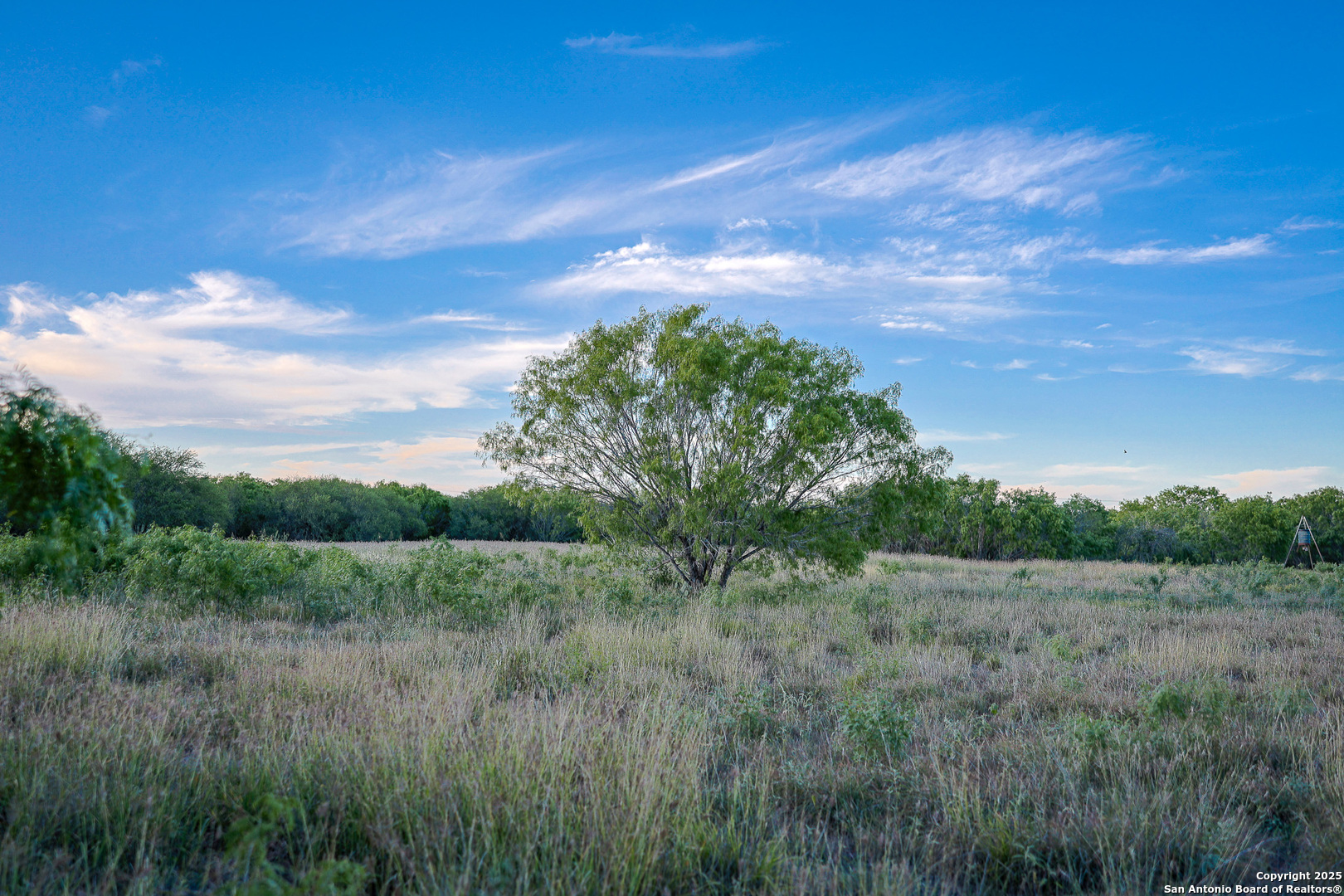 6266 Highway 281 Three Rivers, TX 78071 - Photo 24 of 37 a view of a field of grass and trees