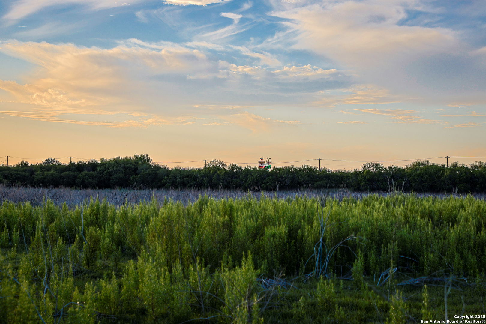 6266 Highway 281 Three Rivers, TX 78071 - Photo 26 of 37 a view of lake from balcony