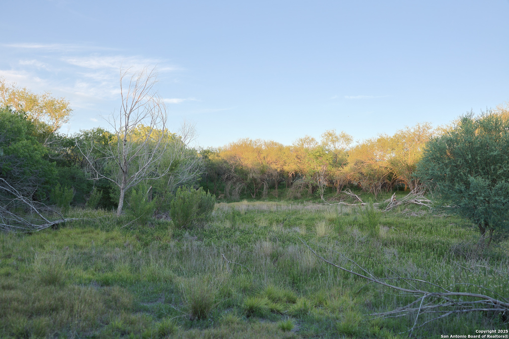 6266 Highway 281 Three Rivers, TX 78071 - Photo 30 of 37 a view of a field of grass and trees