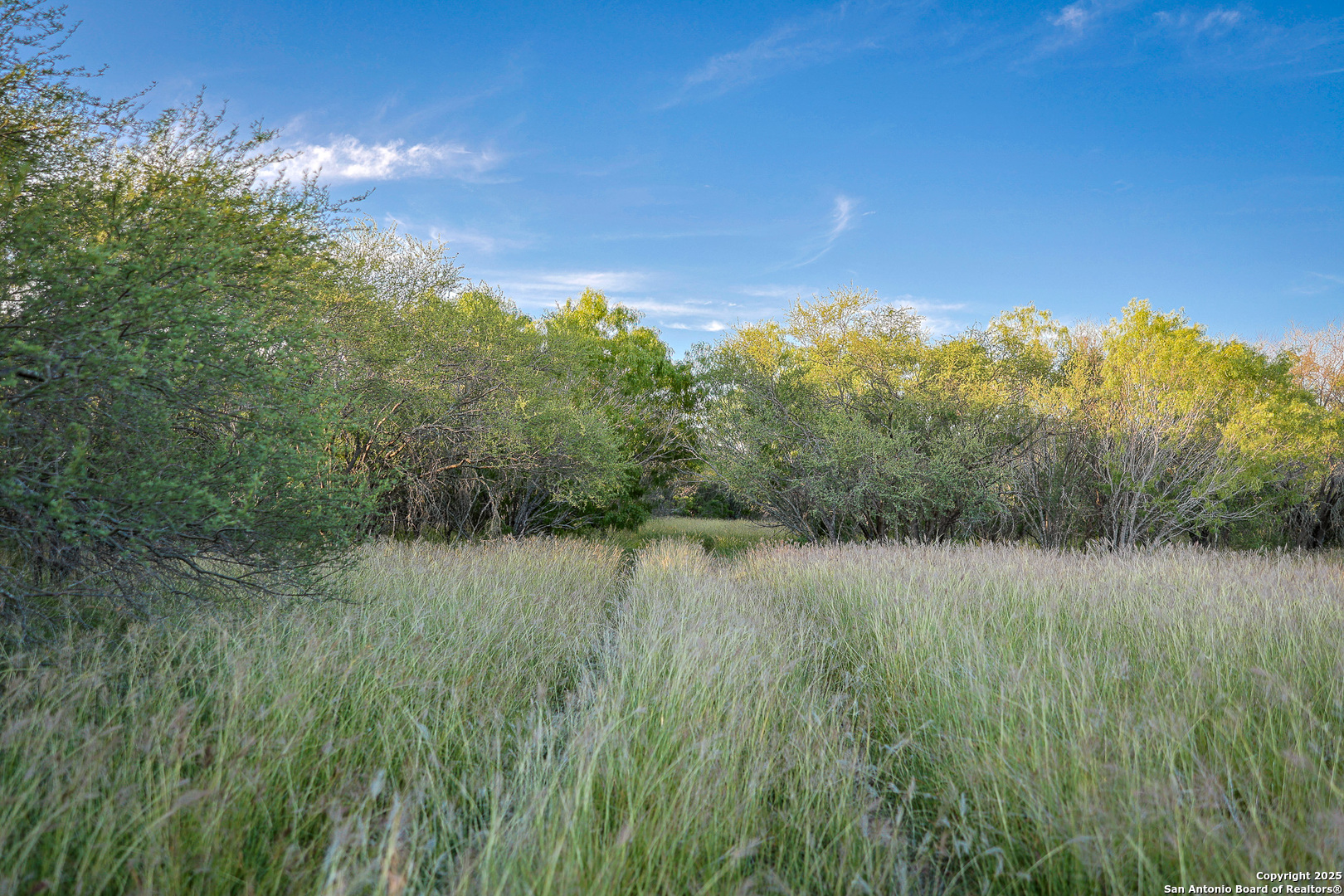 6266 Highway 281 Three Rivers, TX 78071 - Photo 3 of 37 a view of lake with green space