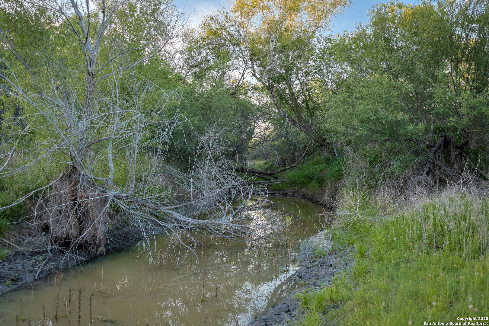 6266 Highway 281 Three Rivers, TX 78071 - Photo 31 of 37