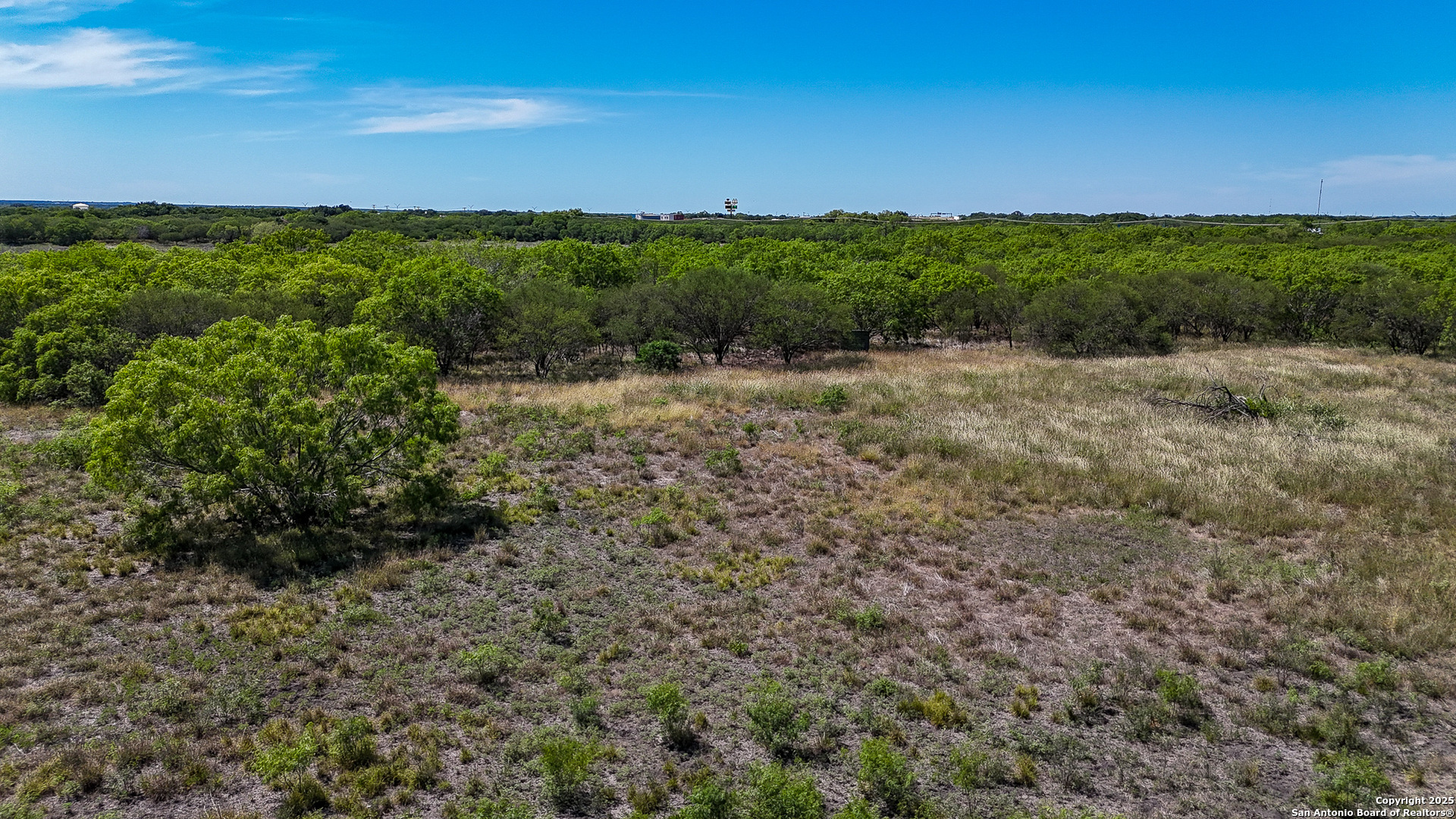 6266 Highway 281 Three Rivers, TX 78071 - Photo 7 of 37 a view of a green field with lots of bushes
