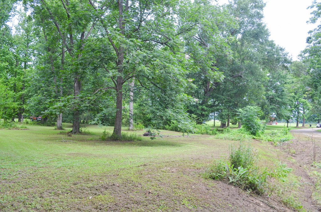 225 Royce Lane Dothan, AL 36305 - Photo 30 of 31