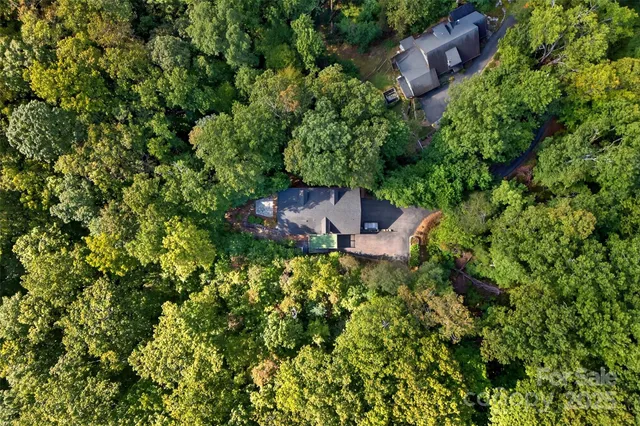 a view of a lush green hillside and a mountain