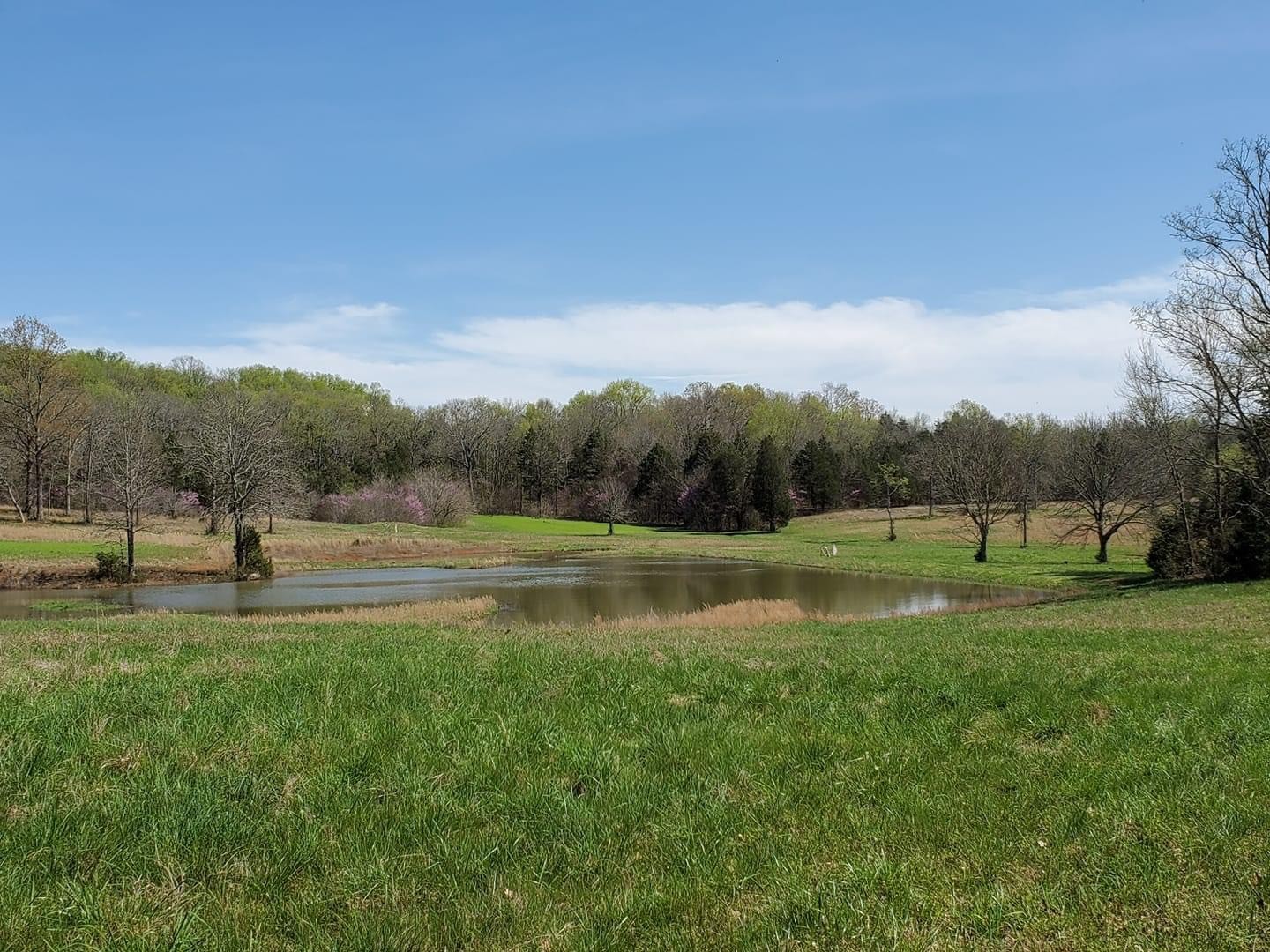 3531 Tobe Robertson Road Columbia, TN 38401 - Photo 13 of 27 Gallery Image 13