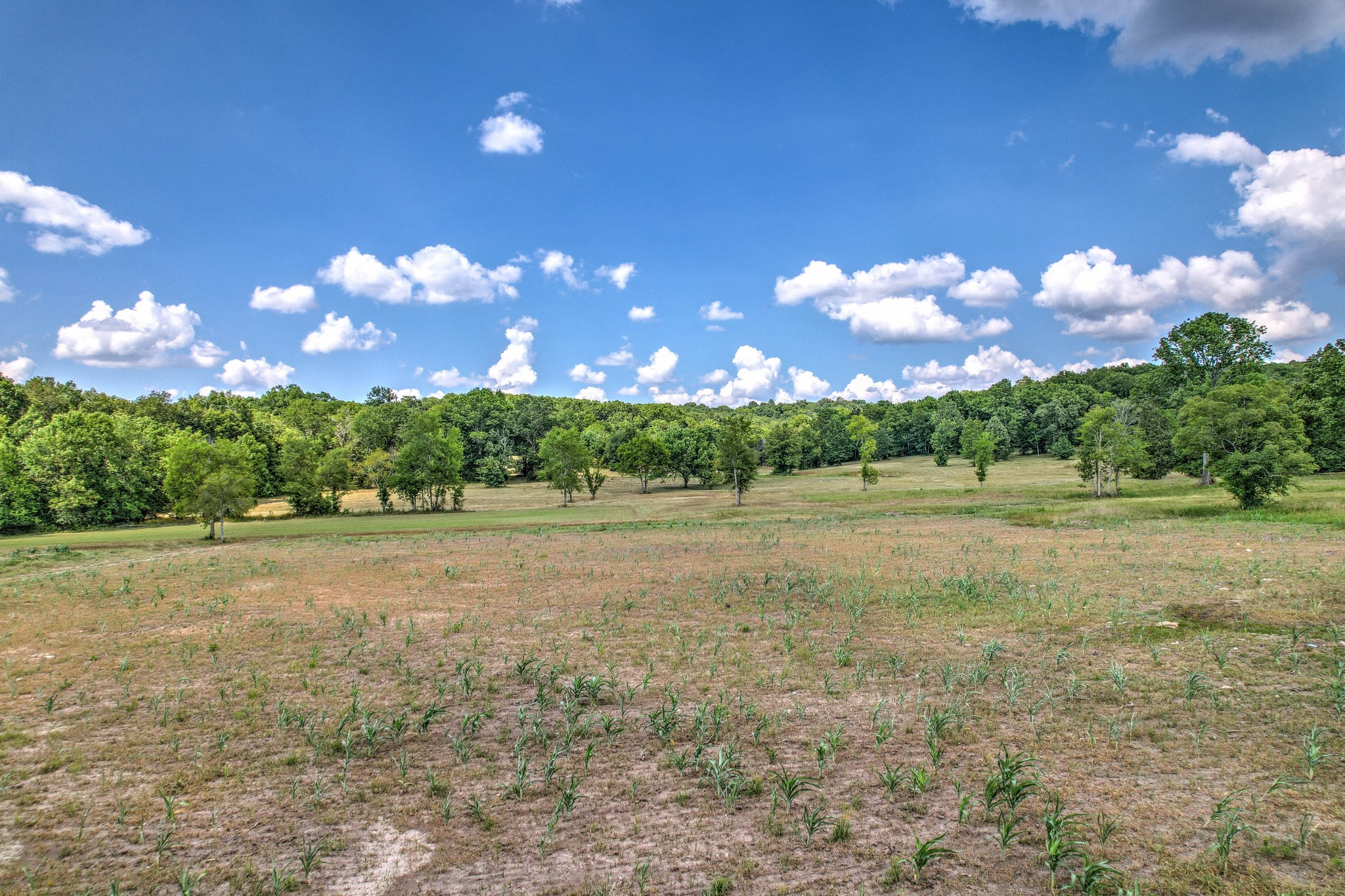3531 Tobe Robertson Road Columbia, TN 38401 - Photo 5 of 27 Gallery Image 5