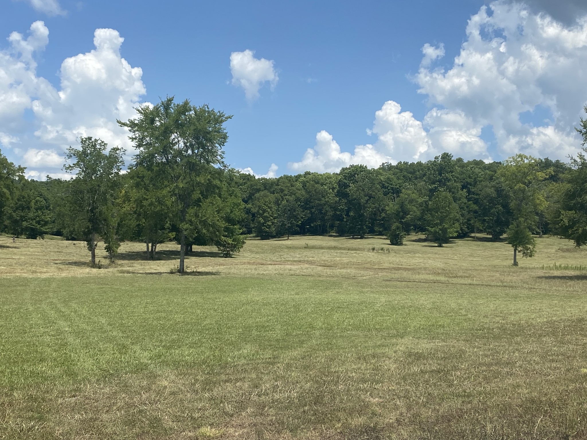 3531 Tobe Robertson Road Columbia, TN 38401 - Photo 6 of 27 Gallery Image 6