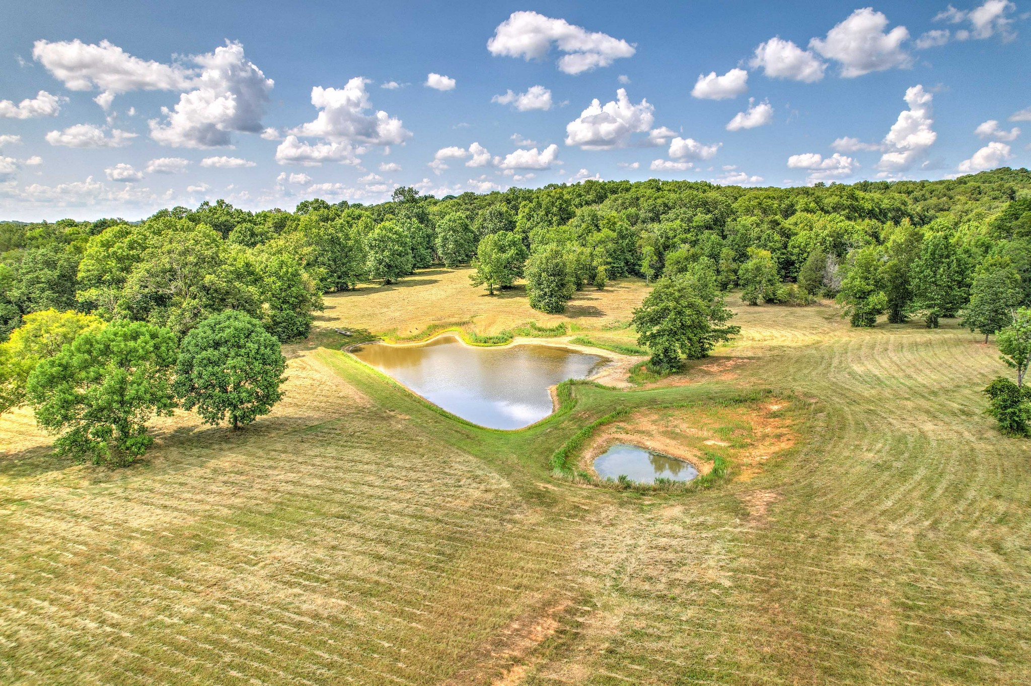 3531 Tobe Robertson Road Columbia, TN 38401 - Photo 7 of 27 Gallery Image 7