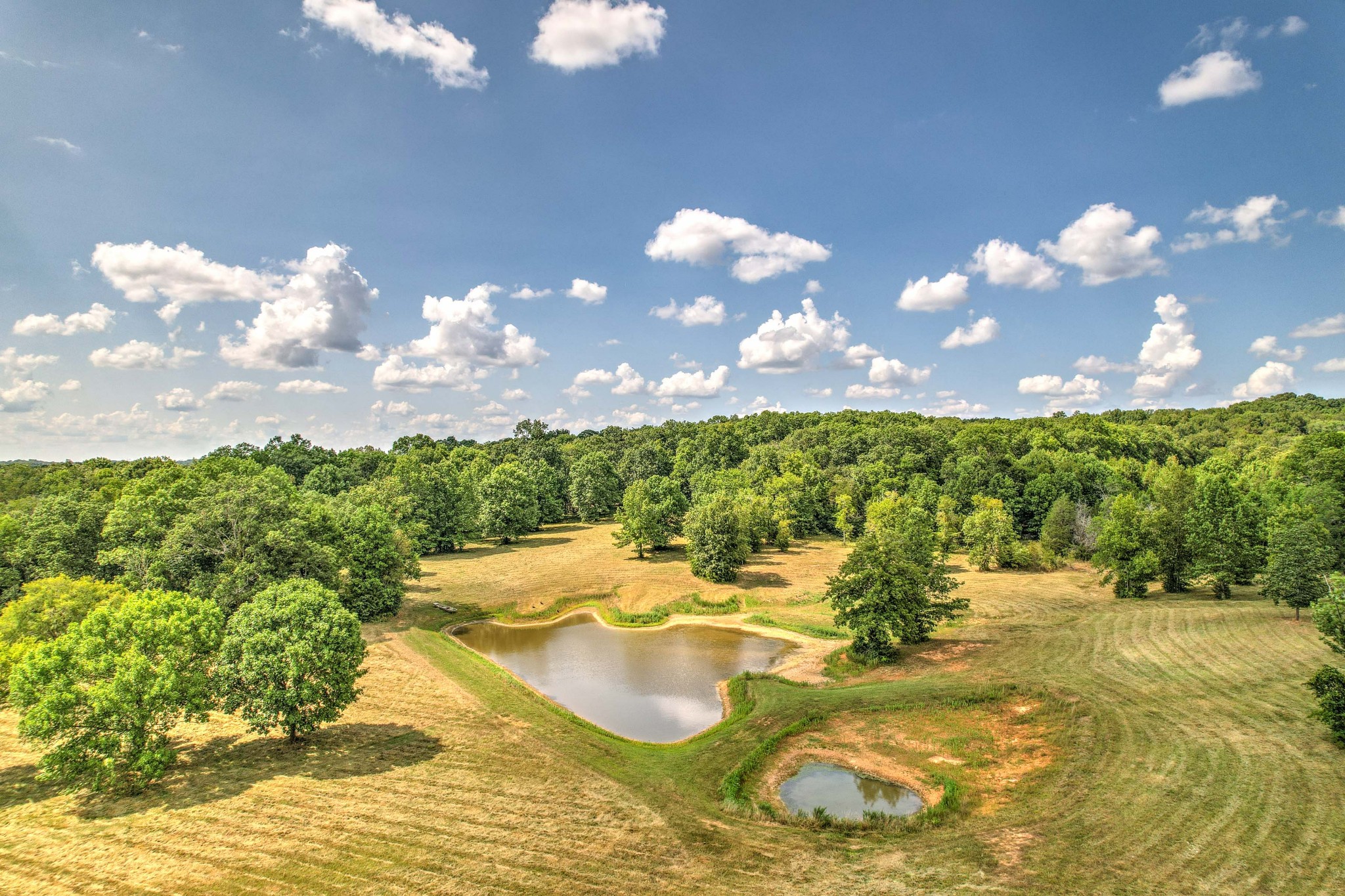 3531 Tobe Robertson Road Columbia, TN 38401 - Photo 8 of 27 Gallery Image 8