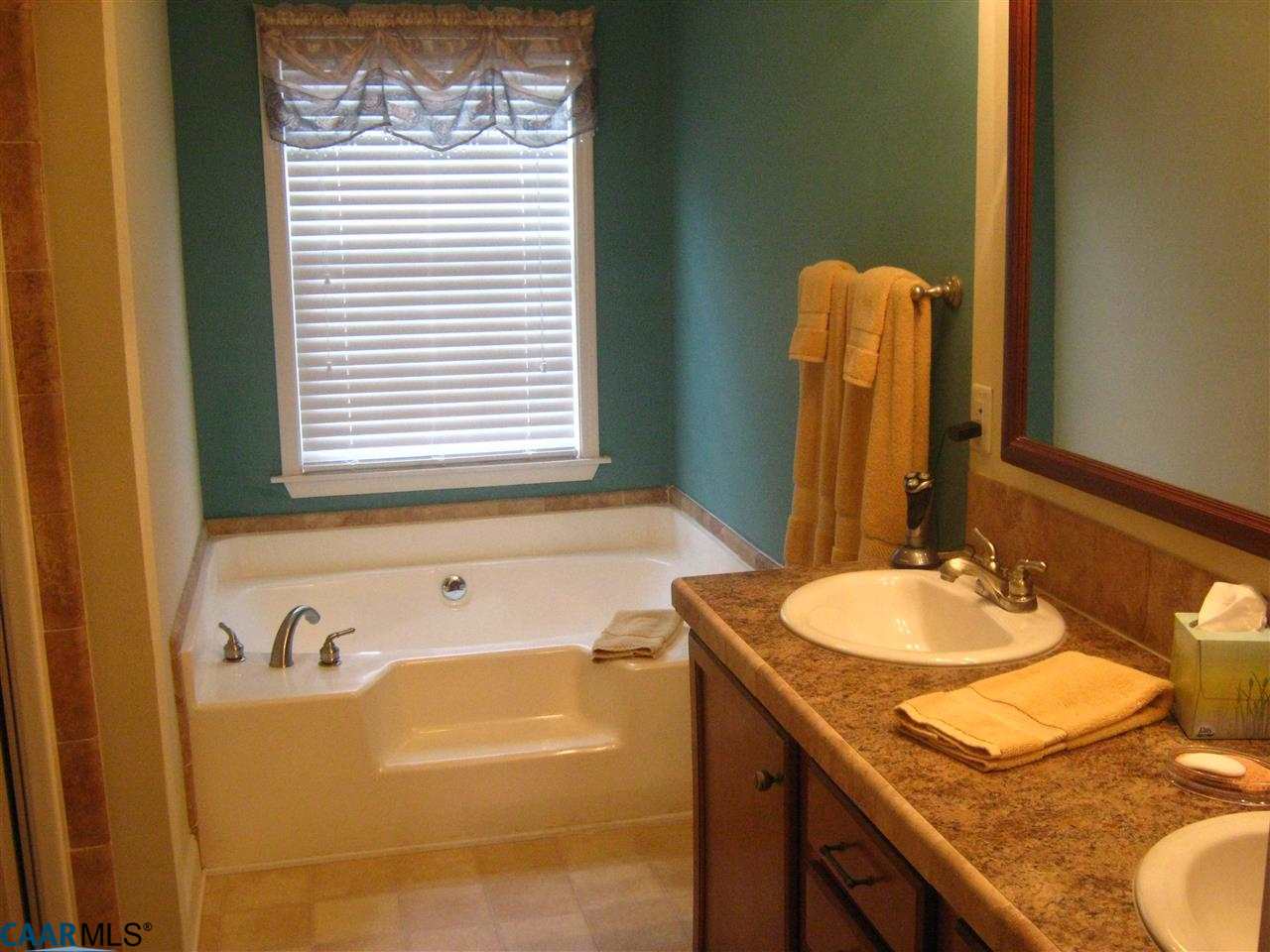 6976 Albevanna Spring Road Scottsville, VA 24590 - Photo 7 of 23 Master Bathroom with double vanities and separate shower.