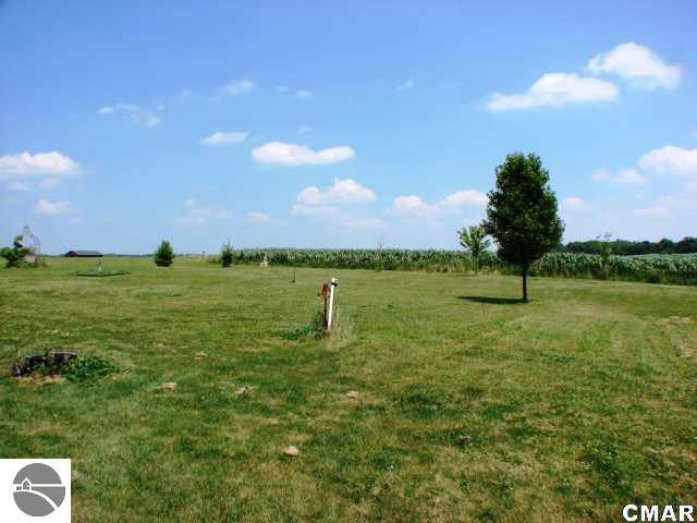 8455 South Alger Road Perrinton, MI 48871 - Photo 5 of 9 1768609-4.JPG