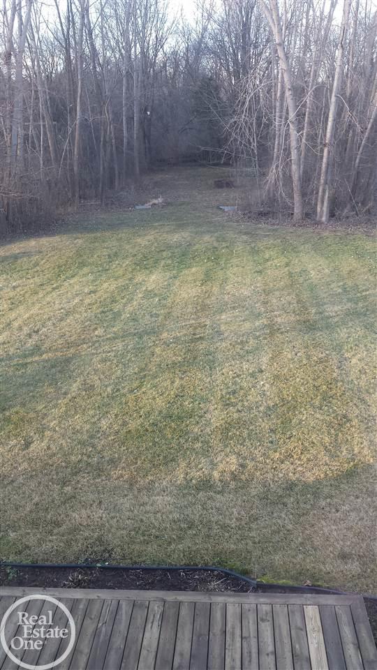 1212 Grace Avenue Rochester Hills, MI 48309 - Photo 5 of 24
