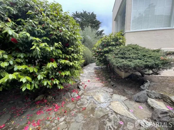 a view of a garden with pathway