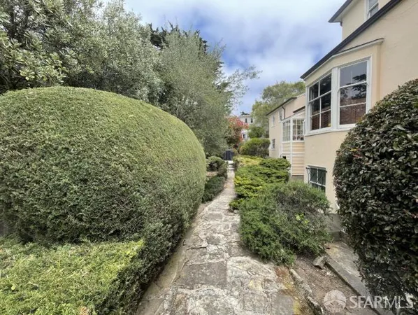 a view of a garden with a tree